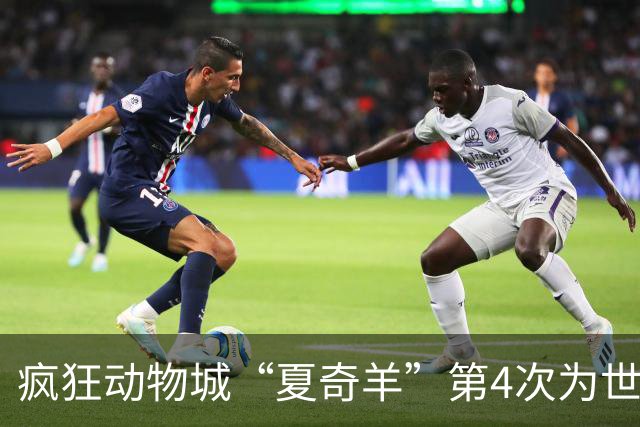 疯狂动物城“夏奇羊”第4次为世界杯开嗓，版税将全捐用于贫困儿童教育